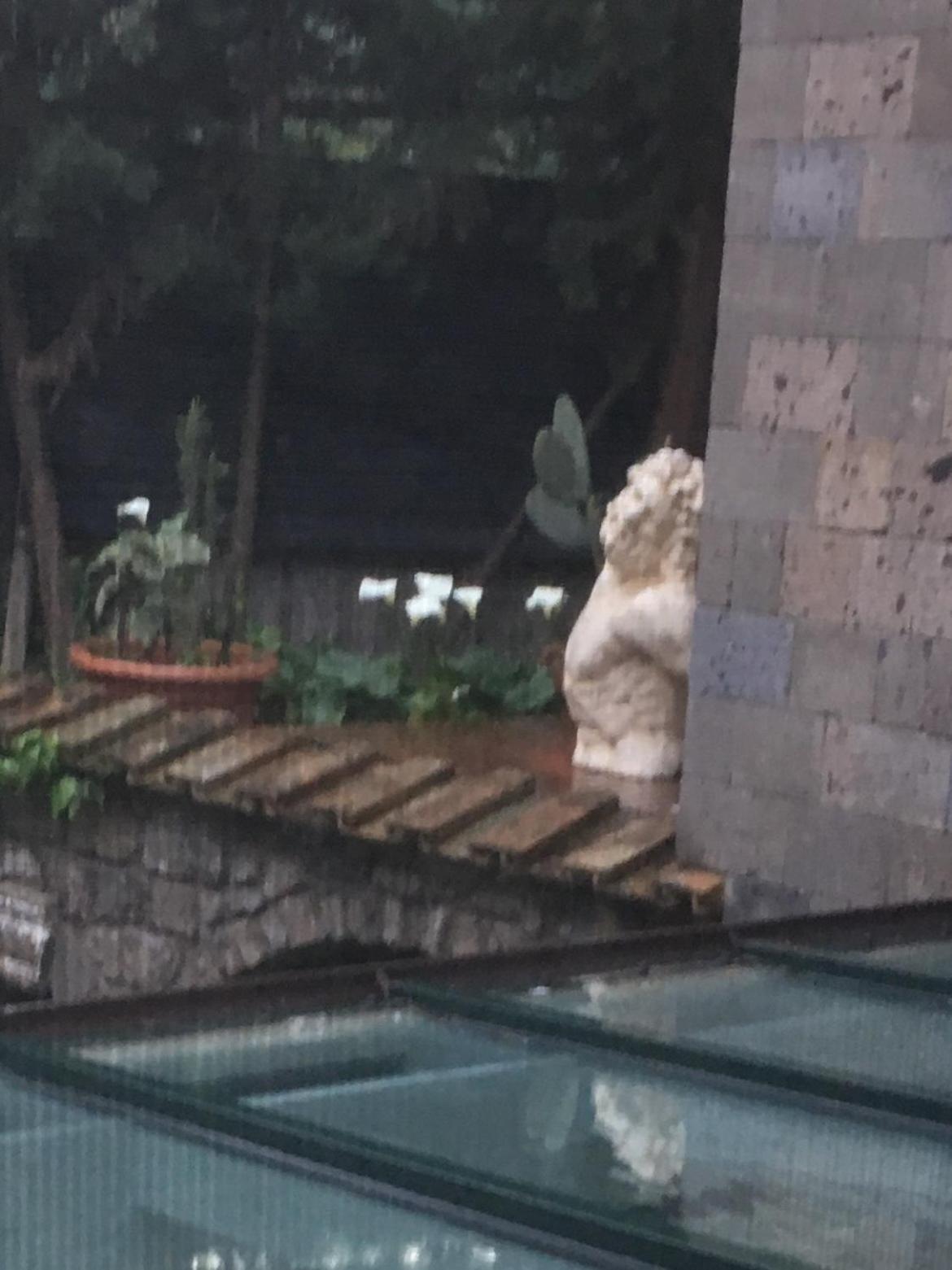 לינה וארוחת בוקר סורנטו Domus Felix מראה חיצוני תמונה